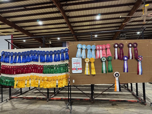 Ribbons ready to be awarded at the specialty show