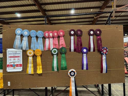Champions and National Best of Breed award ribbons