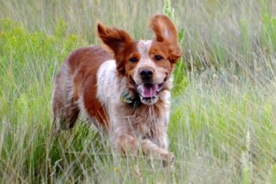 Cory - Age 8
August 2015
Cory - Age 8
August 2015