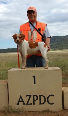 Gypsy won 1st Place at 2014 AZPDC TOC - Sept. 2014 Gypsy won 1st Place at 2014 AZPDC TOC - Sept. 2014