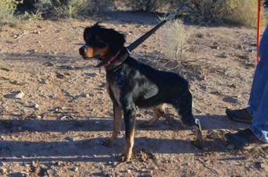Josie - 8 months
October 2014 Josie - 8 months
October 2014