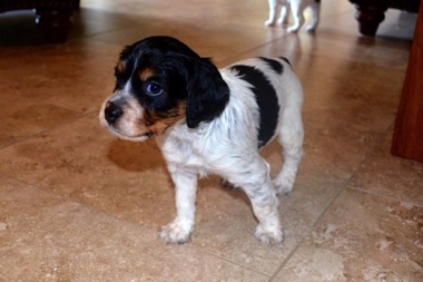 Nellie - 4 weeks Nellie - 4 weeks