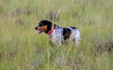 Nellie - One year Nellie - One year