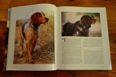 Photos of Cory and Rosie in Covey Rise Magazine, December 2014
Photos by Lauren Till
Photos of Cory and Rosie in Covey Rise Magazine, December 2014
Photos by Lauren Till