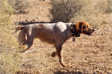 Tess - Age 3 Tess - Age 3