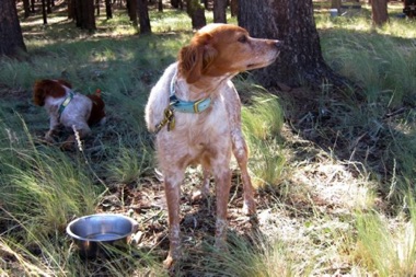 Tess - Age 5 Tess - Age 5