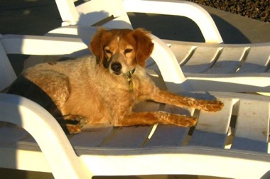 Tess enjoying sunset - Age 7 Tess enjoying sunset - Age 7