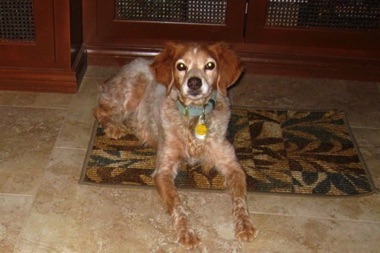 Tess - Age 9 Tess - Age 9