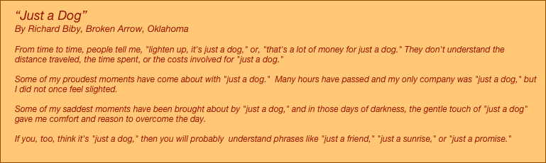 “Just a Dog” 
By Richard Biby, Broken Arrow, Oklahoma

From time to time, people tell me, "lighten up, it's just a dog," or, "that's a lot of money for just a dog." They don't understand the distance traveled, the time spent, or the costs involved for "just a dog."

Some of my proudest moments have come about with "just a dog."  Many hours have passed and my only company was "just a dog," but I did not once feel slighted.

Some of my saddest moments have been brought about by "just a dog," and in those days of darkness, the gentle touch of "just a dog" gave me comfort and reason to overcome the day.

If you, too, think it's "just a dog," then you will probably  understand phrases like "just a friend," "just a sunrise," or "just a promise."

